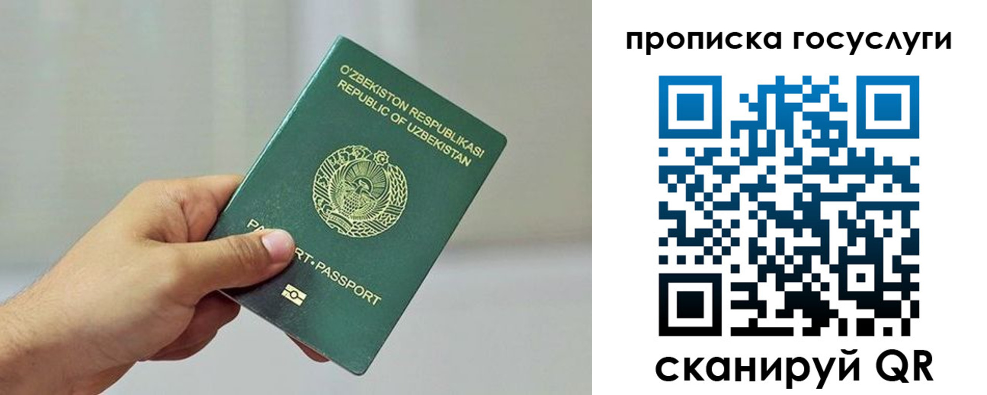 временная регистрация адрес в Жуковском